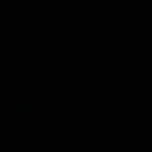 Meet your Posher, Aaliyah